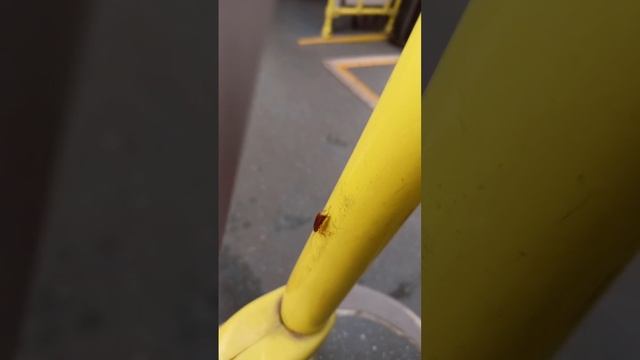 Мосгортранс, маршрут№261🤦🤦