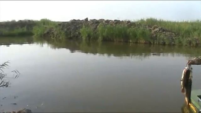 рыбалка 11 июня 089.MOD