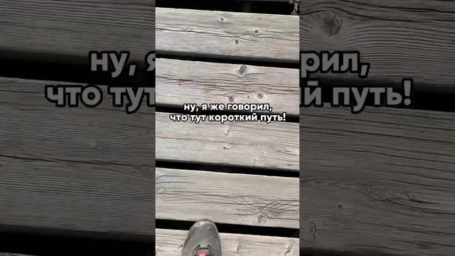 Самые популярные фразы в походе 😁 Подпишись, новое видео каждый день!