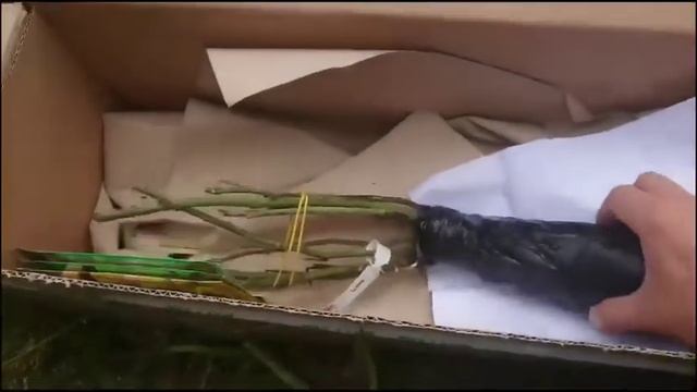 Отзыв о "Дом и Сад"  Domicad.com.ua Распаковка