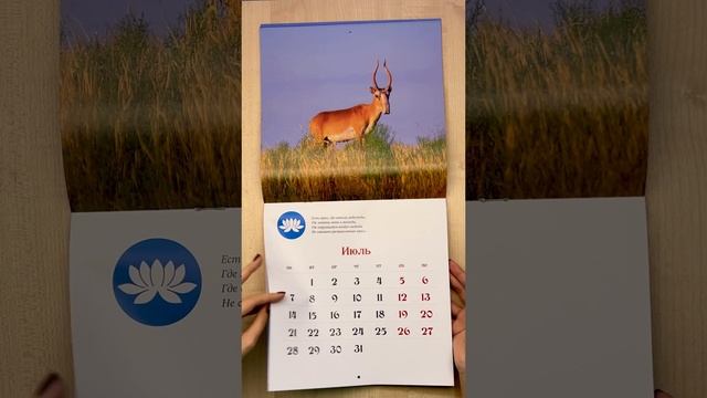 Издательство "Бумба", календарь на 2025 год "Первозданная Калмыкия"