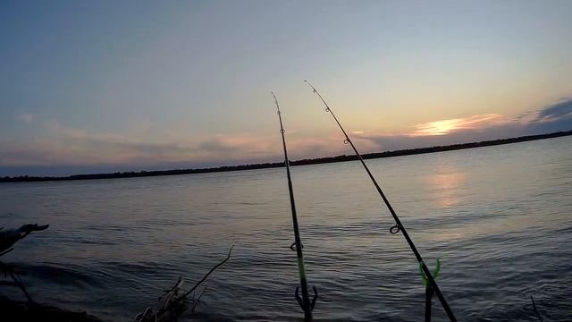 Рыбалка с сыном на новом месте/Fishing with my son in a new place
