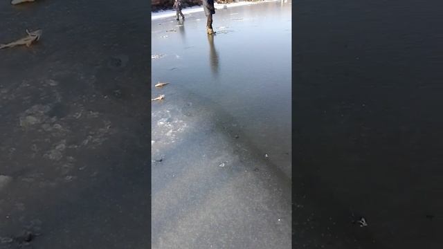 Первый лед продолжения часть 2