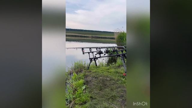 Рыбалка на Карпа в Харьковской обл