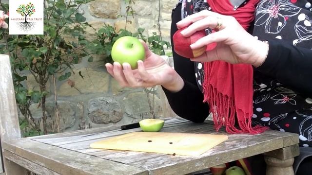 Apple with Ditzy