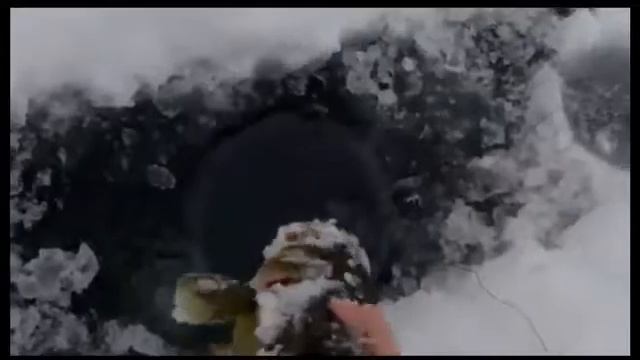 Insane Central Wisconsin Tip Up Action For Big Bass And Pike (central Wi Trip Days 4-5)