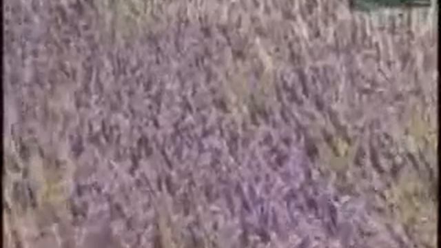 Рацион питания для здоровья