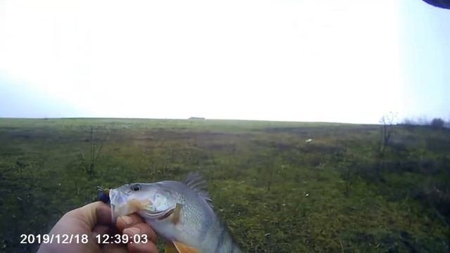 Рыбалка в декабре! Ловля  Окуня и щуки на джиг.