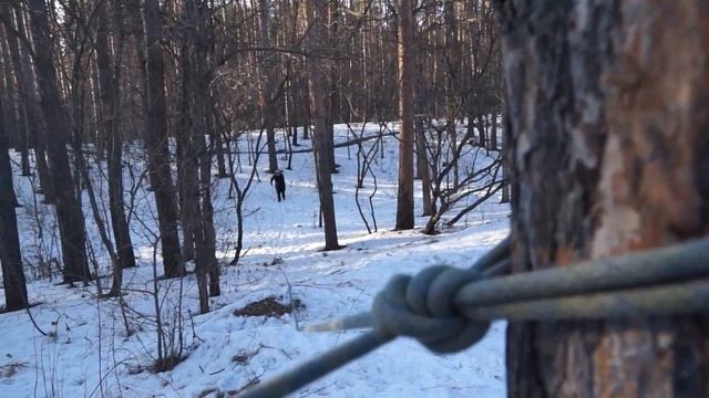 Зимние старты ВОИ  Лыжи, верёвка и другие старты