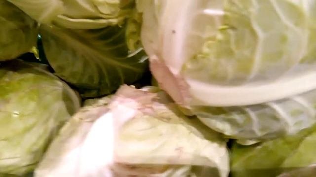 Капуста оптом с Херсонской области Великие Копани. Купить и Продать. Direct Delivery