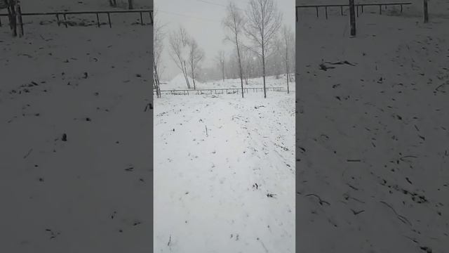 кор дар замистони Москве