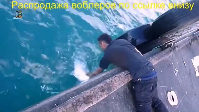 Воблер zipbaits rigge s line 46s купить