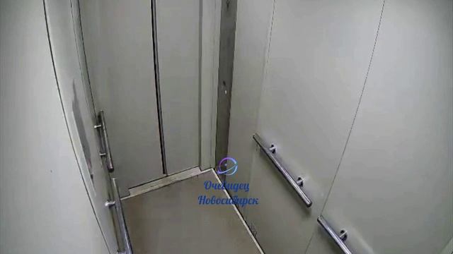 Новосибирск. Живодёр.