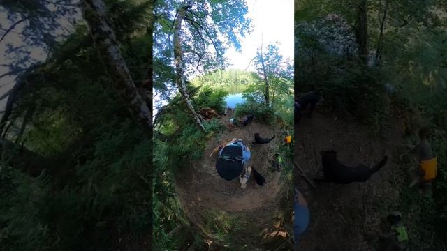 Join the Pack as they Swim with my Kayak and Walk in the Forest