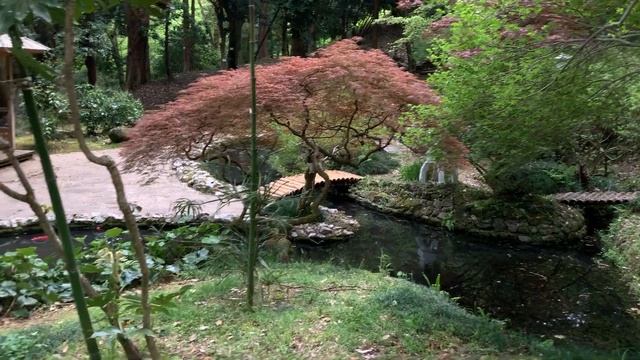 Ботанический сад в Батуми / Batumi Botanical Garden, Georgia