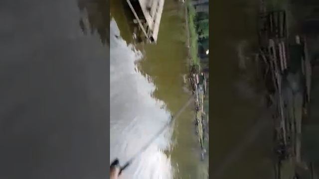 Ловим немецкого карпа
