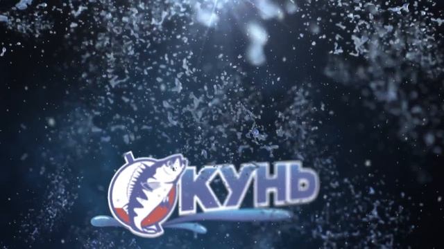 Сюжетная "отбивка" для промофильма "Рыболовный турнир Бурый Окунь. 2016".  Окунь