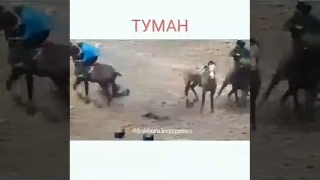 Ат болғансон осындаи болукерекко