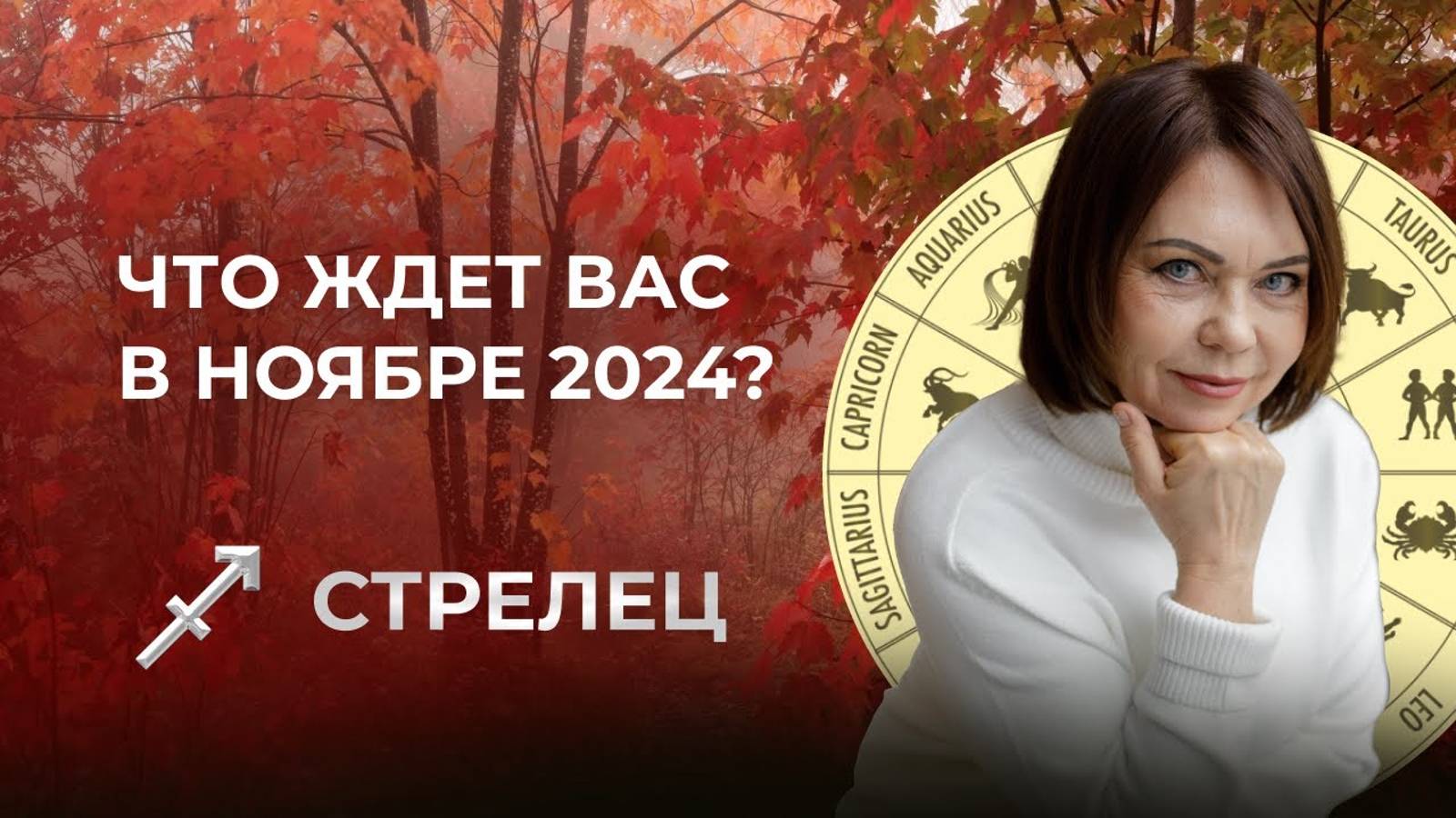 Прогноз для Стрельцов на Ноябрь 2024: Психологический рост, Переезды и Финансовые Решения!