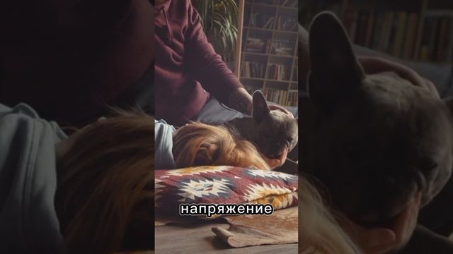 10 способов справится с осенней депрессией - ваш терапевт души Марина Комарова