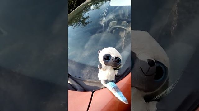 какое желание загадал лемур? мой первый рум тур. в огороде