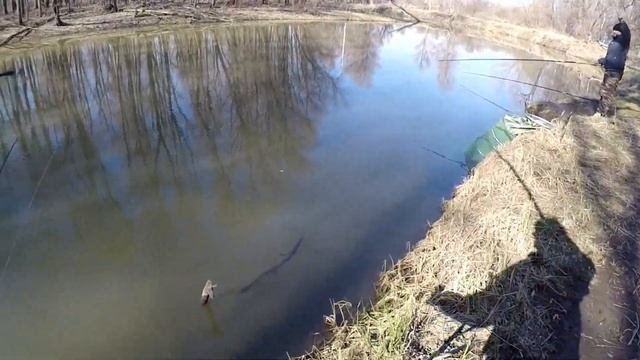 Рыбалка на удочку. Отрыв по чебаку