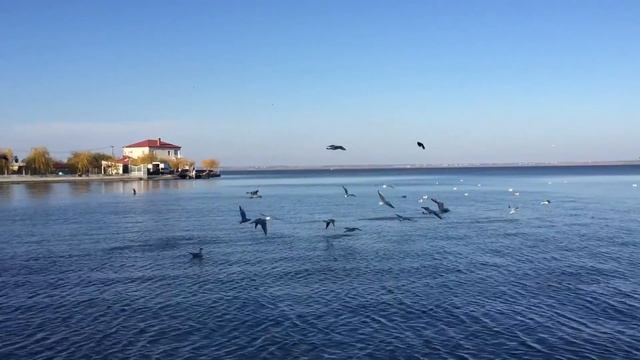 Белгород-Днестровский ноябрь 2021 / Аккерман  / Днестровский лиман /  Akkerman  November 2021