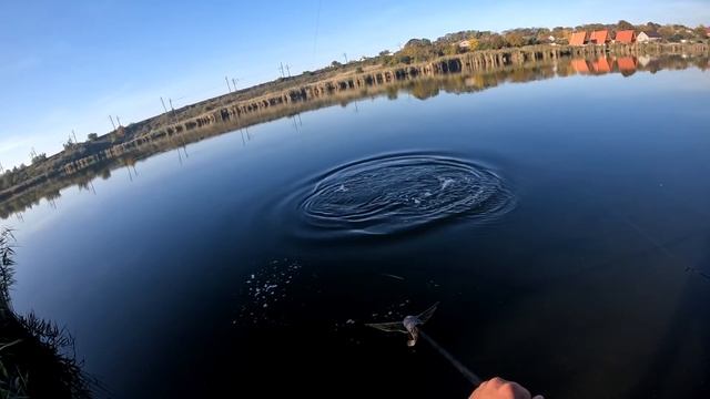 Зловили чергового амура,на другому турнирi команди 7fish  з коропового лову.