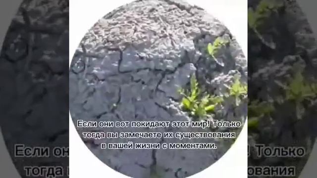 ЦЕНИТЕ РОДИТЕЛЕЙ ПОКА ОНИ ЕСТЬ • OTA ONANGIZNI BORIDA QADRLANG!