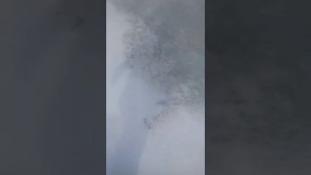 Таразе в корере рыбу пошли ловить и задной по котались