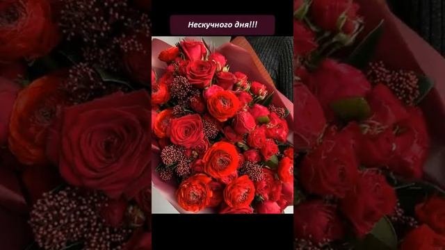 Нескучного дня