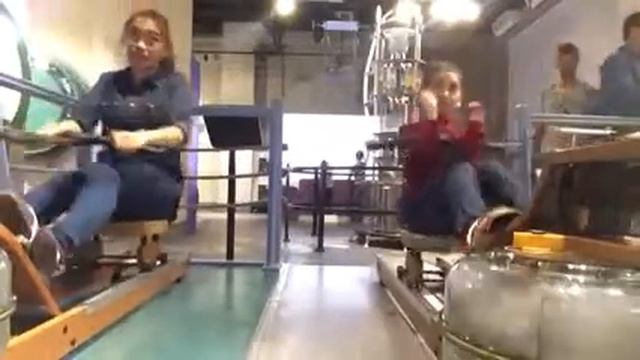 Минутка фитнеса в музее Живые системы