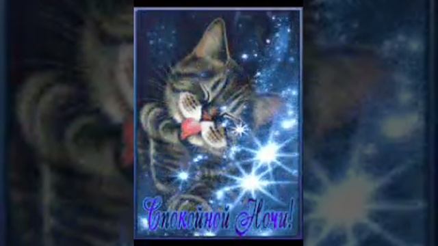 VID-20241025-WA0000.mp4