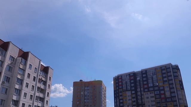 Ласточки-одни из лучших охотников.