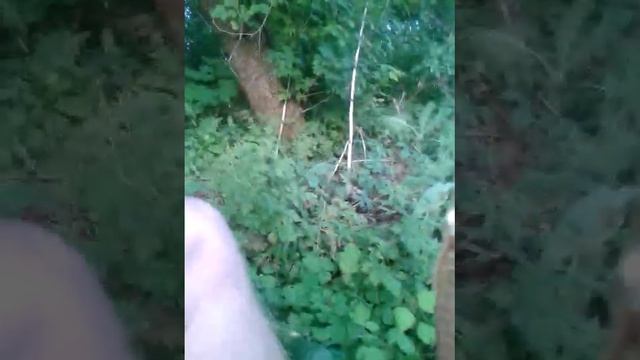 Донецкая обл Покровский р-н п Опытное Эх карась  2012 06 06 19 50 48