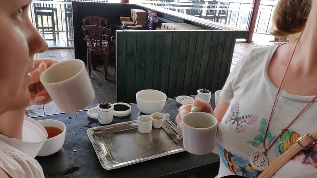 Чайная плантация Halpe Tea (Шри-Ланка)