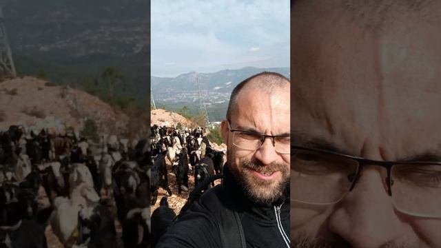 Прогулка выходного дня!