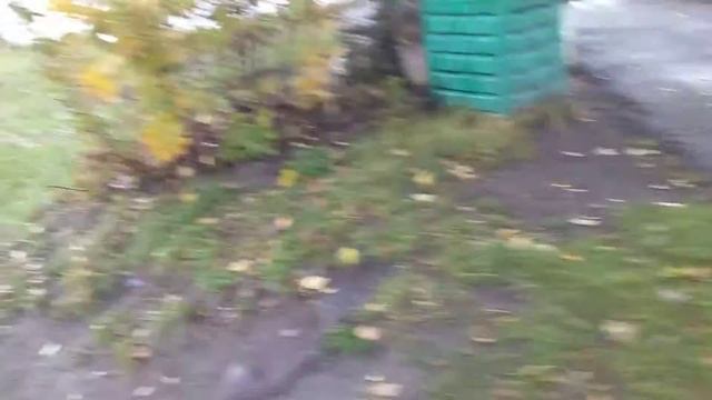 шлиссельбург в видео