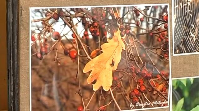 Виставка у Броварському музеї