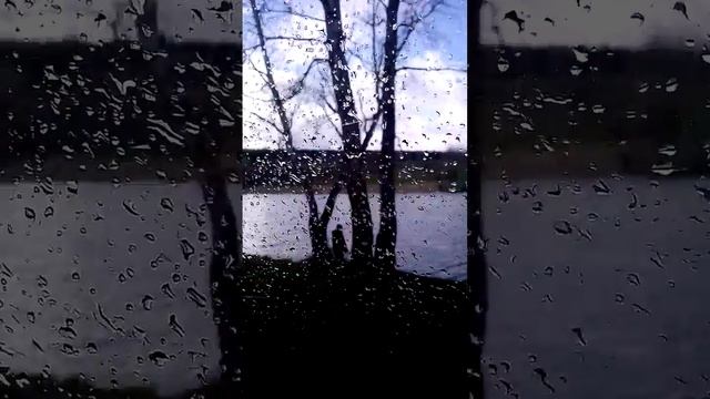 Кемерово. Холодно. Рыба не клюёт