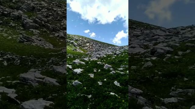 Абхазия,экскурсия в горный массив Арабика часть 2
