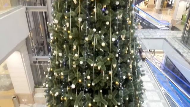 Voronezh city Елка 2018 Shopping Mall  Галерея Чижева