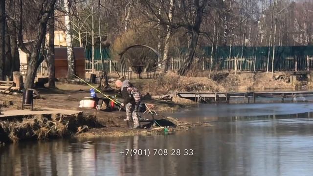 Рыбалка в Тарасовке