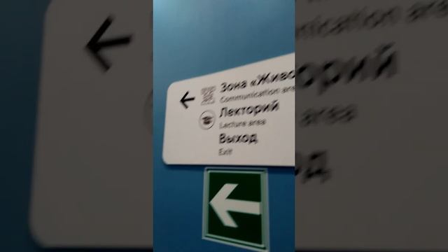 Павильон МЦД на Киевской