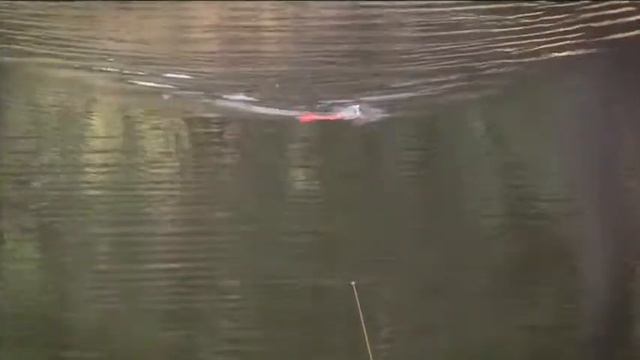 26 Rapala - X-Rap Walk