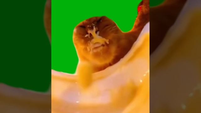 Я не знаю что вылаживать, держите это