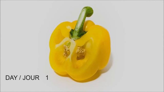 Продукция VirusStop ES-012 надежная защита Ваших продуктов!