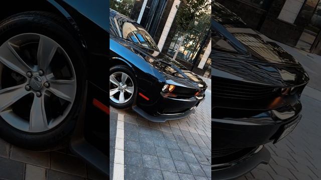 Добавьте красок к пасмурную осень с Dodge Challenger 🔥