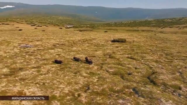 Пешеходный туризм в Магаданской области завоёвывает все большую популярность
