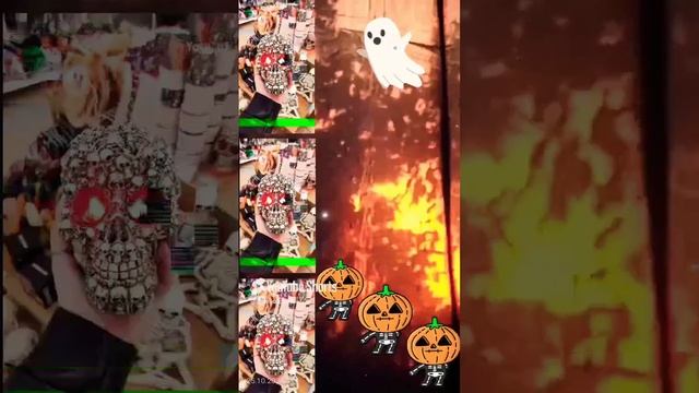 VID_20241025141543